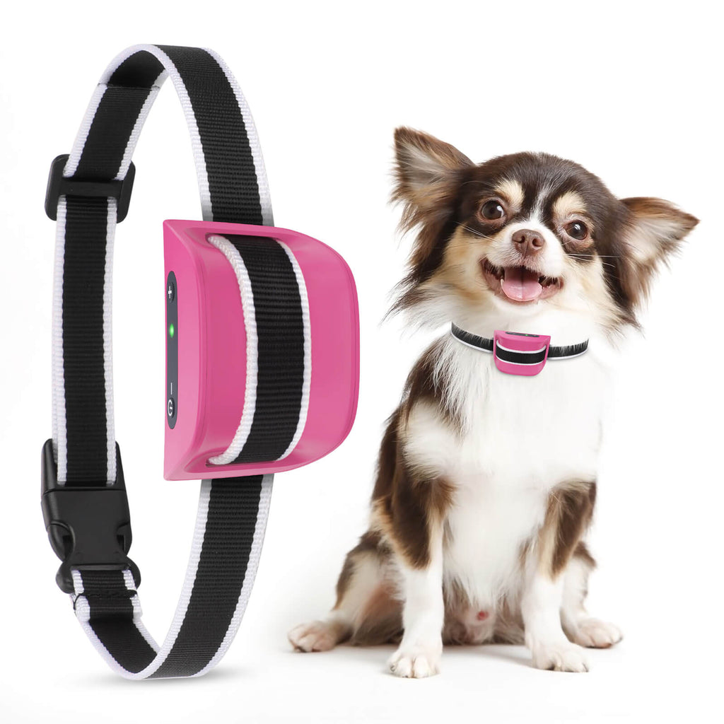 stop dog barking device