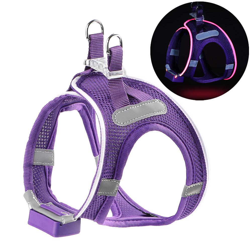 MASBRILL LED Dog Harness USB Rechargeablefor Small Dogs Adjustable Puppy Cat Harness - MASBRILL