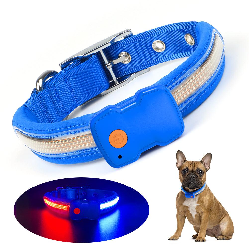 Trackable dog outlet collar