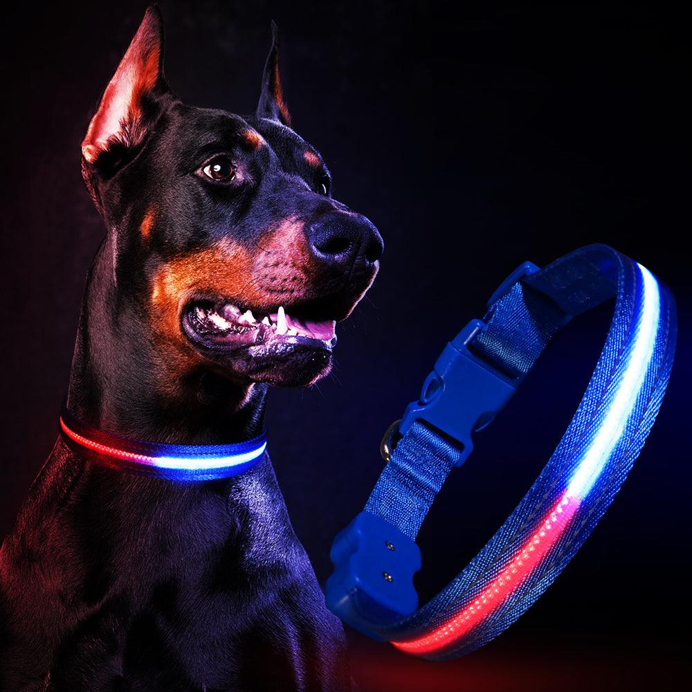 MASBRILL Interactive Dog Chew Toy–Brightly Colored Dog Enrichment