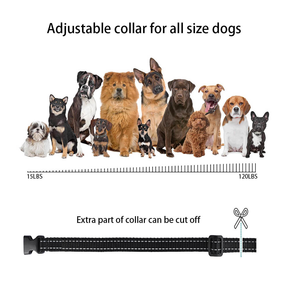TT 25 Dog Collar Device Owners Manual - Replacing the Dog Collar