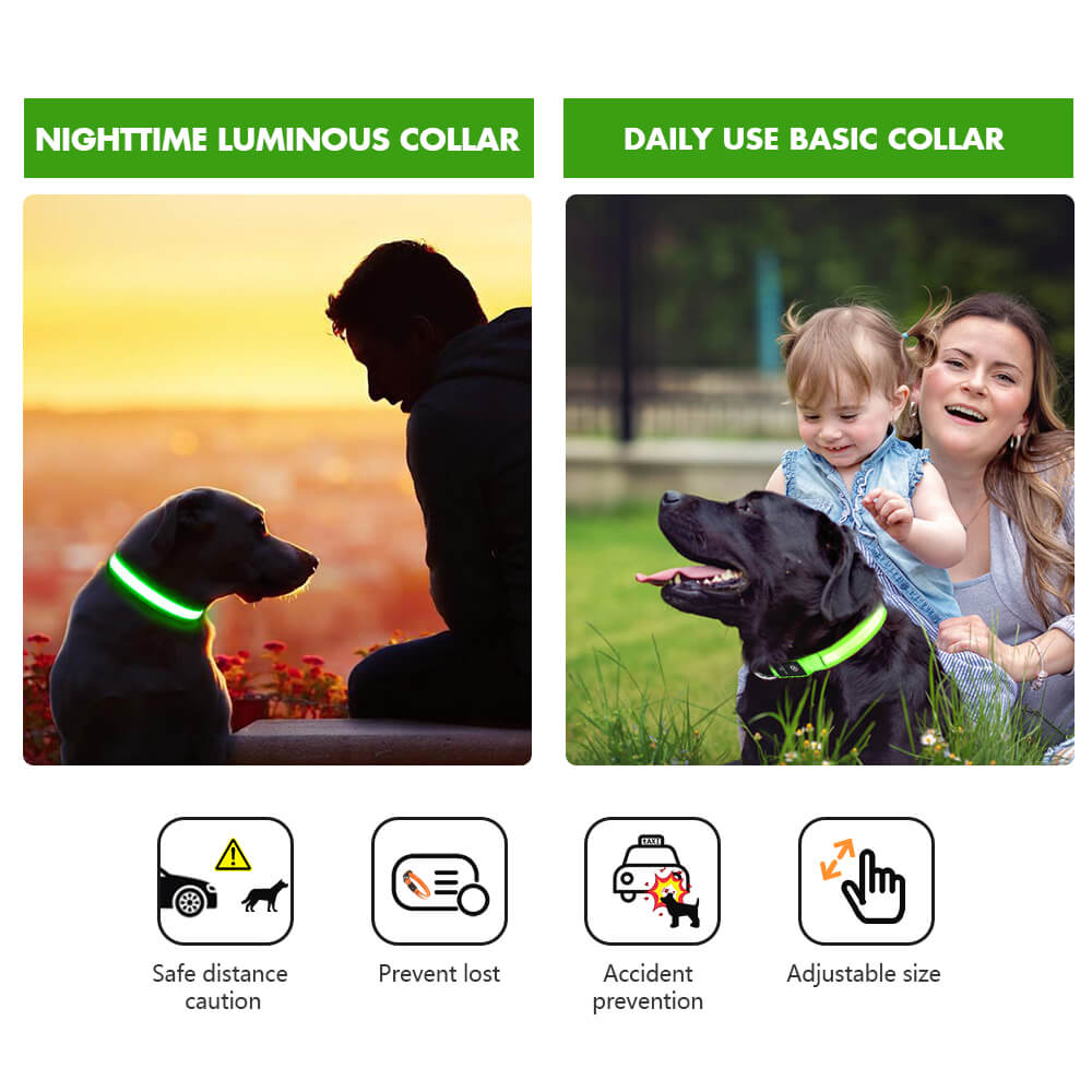 MASBRILL Rechargeable Waterproof LED Light-Up Dog Collar