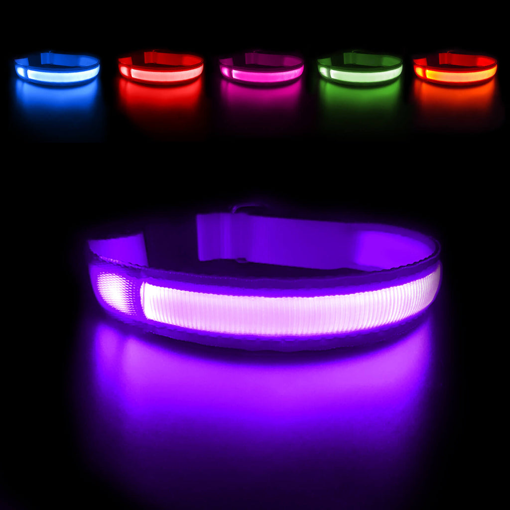 MASBRILL Rechargeable Waterproof LED Light-Up Dog Collar