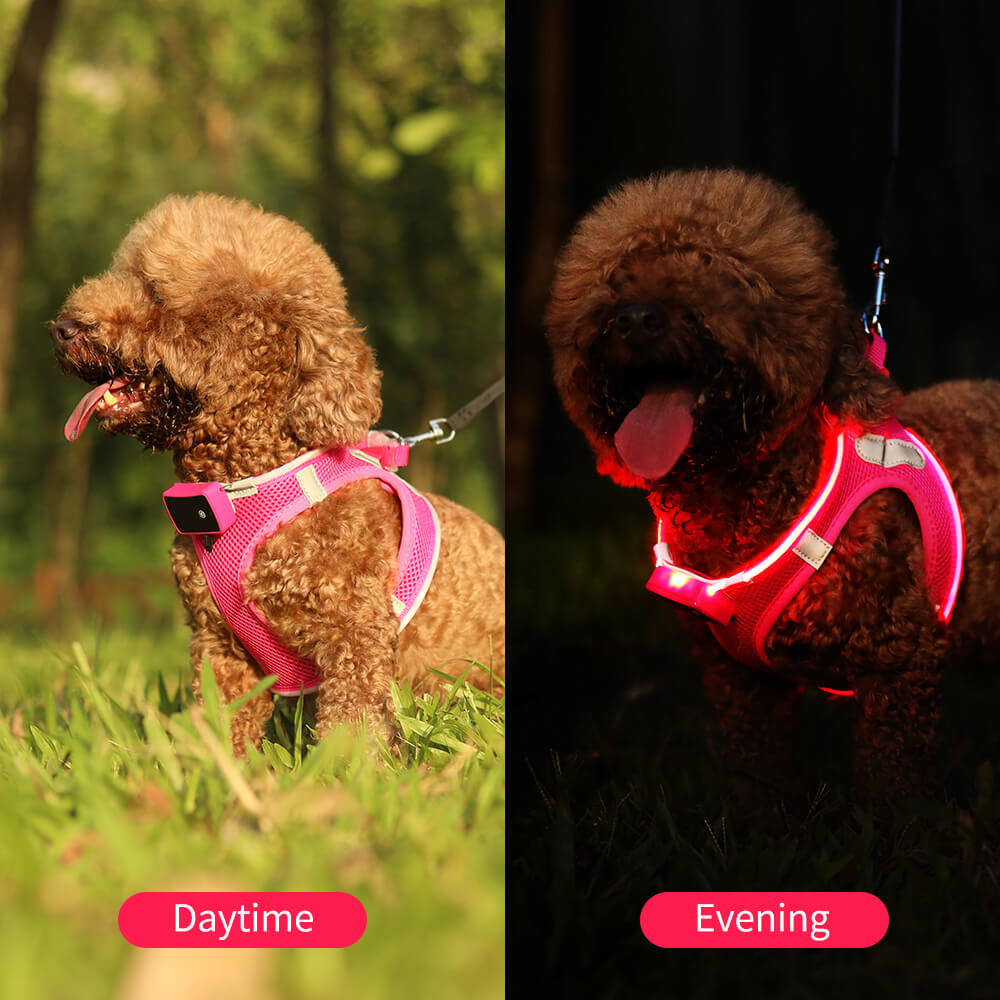 MASBRILL LED Dog Harness USB Rechargeablefor Small Dogs Adjustable Puppy Cat Harness