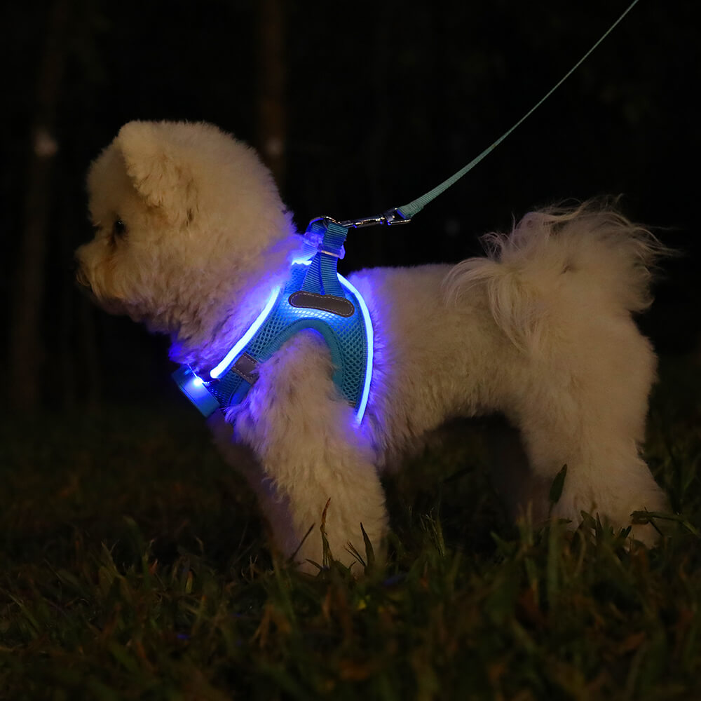 MASBRILL LED Dog Harness USB Rechargeablefor Small Dogs Adjustable Puppy Cat Harness