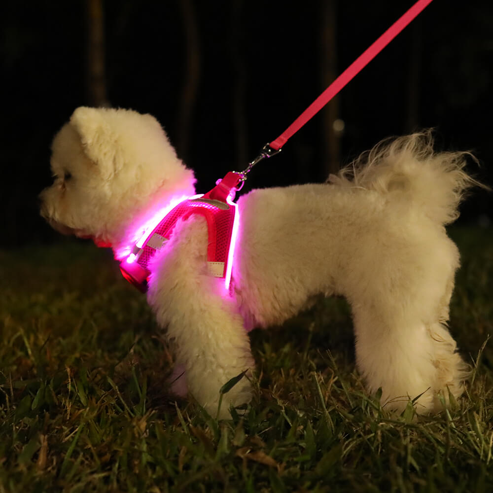 MASBRILL LED Dog Harness USB Rechargeablefor Small Dogs Adjustable Puppy Cat Harness