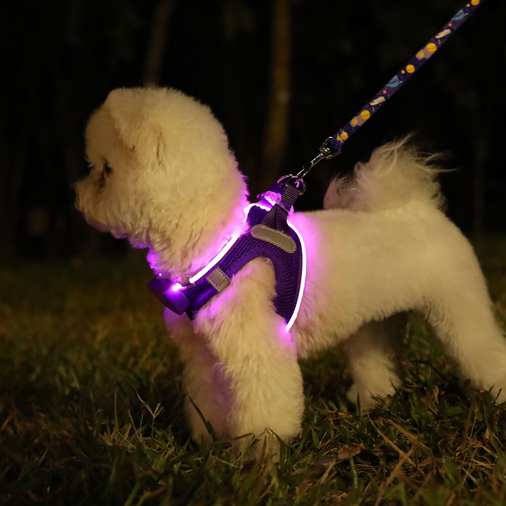 MASBRILL LED Dog Harness USB Rechargeablefor Small Dogs Adjustable Puppy Cat Harness