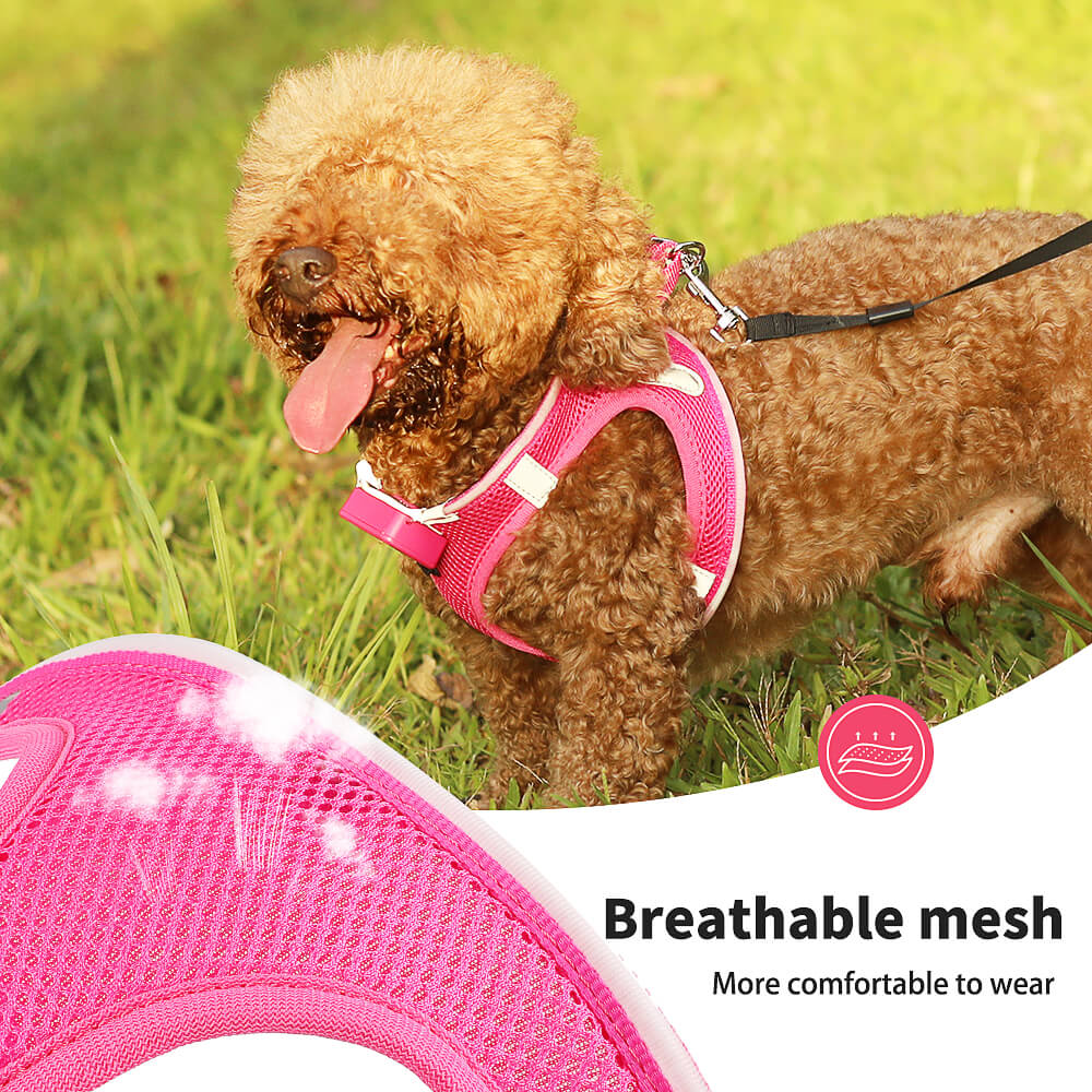 MASBRILL LED Dog Harness USB Rechargeablefor Small Dogs Adjustable Puppy Cat Harness