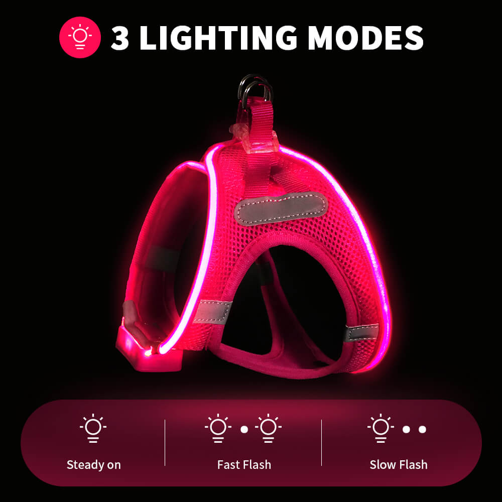 MASBRILL LED Dog Harness USB Rechargeablefor Small Dogs Adjustable Puppy Cat Harness