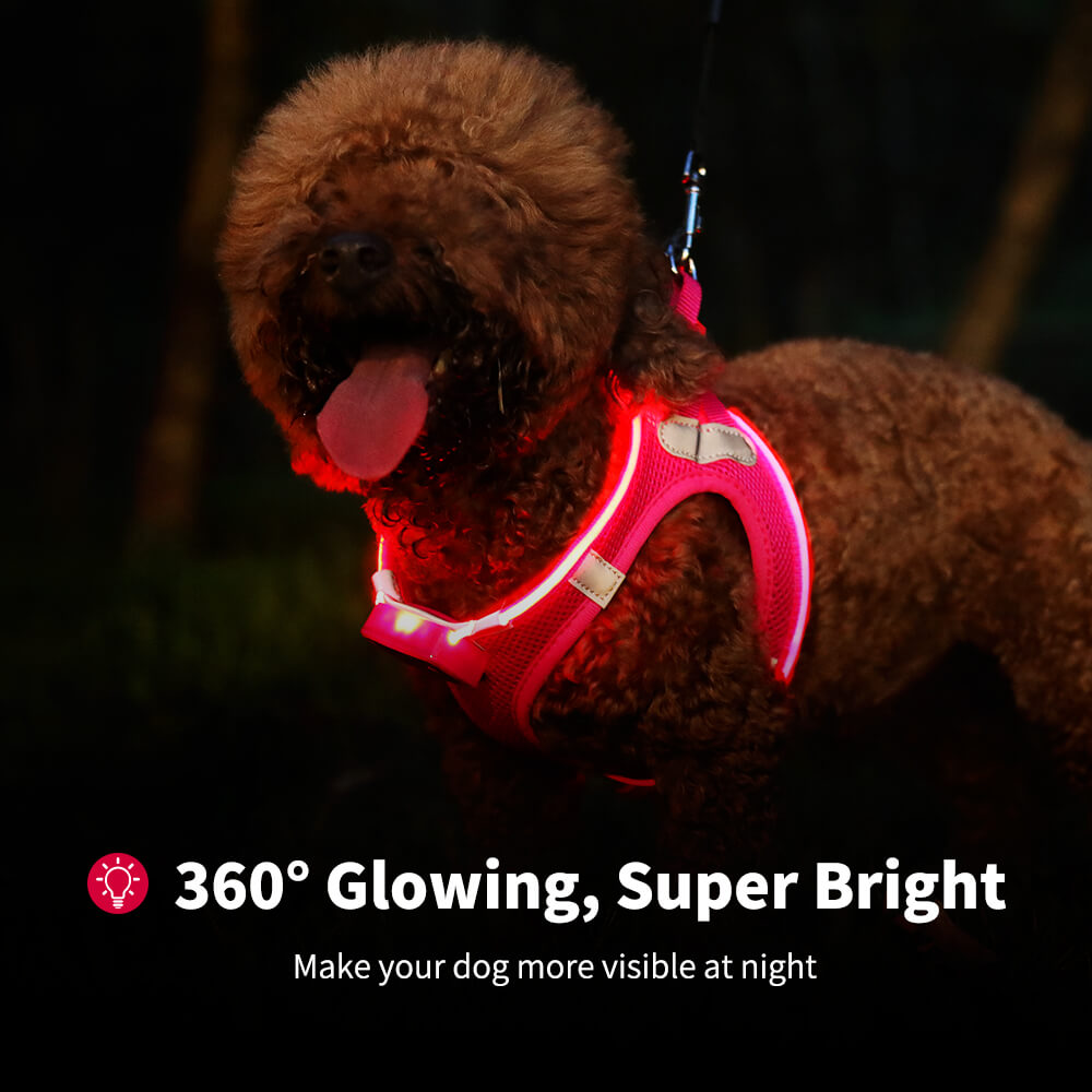 MASBRILL LED Dog Harness USB Rechargeablefor Small Dogs Adjustable Puppy Cat Harness