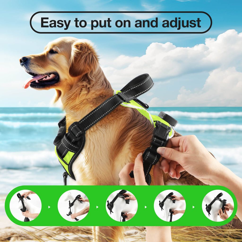 MASBRILL Light Up Dog Harness