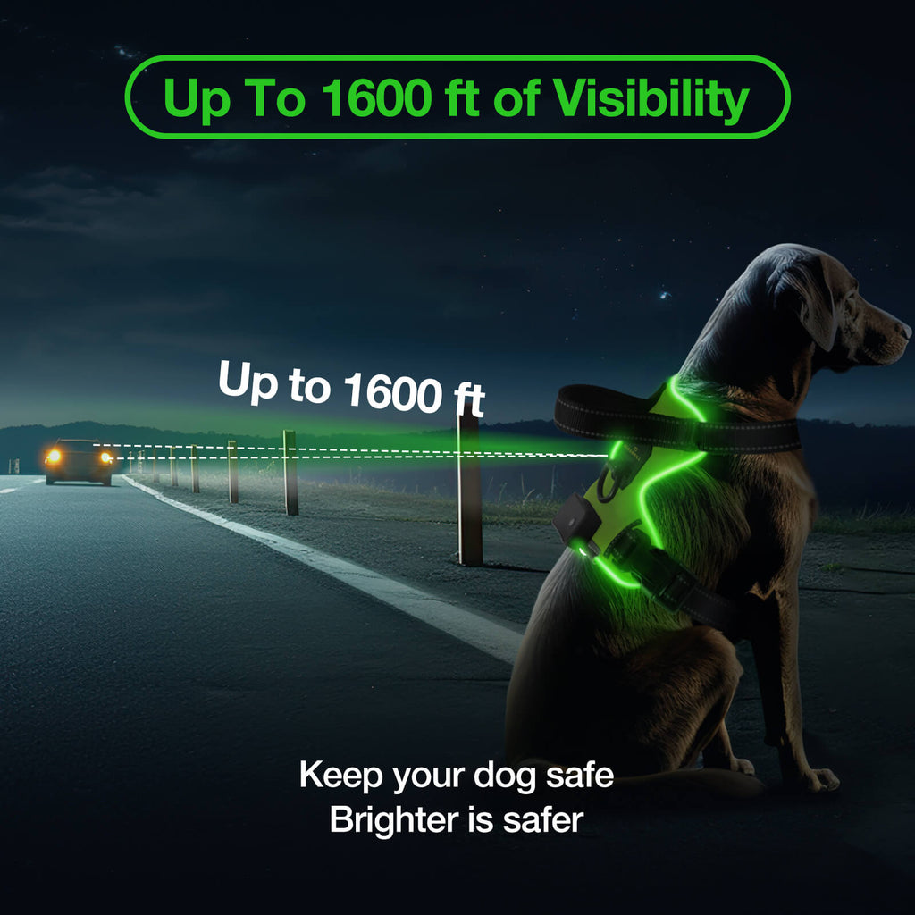 MASBRILL Light Up Dog Harness