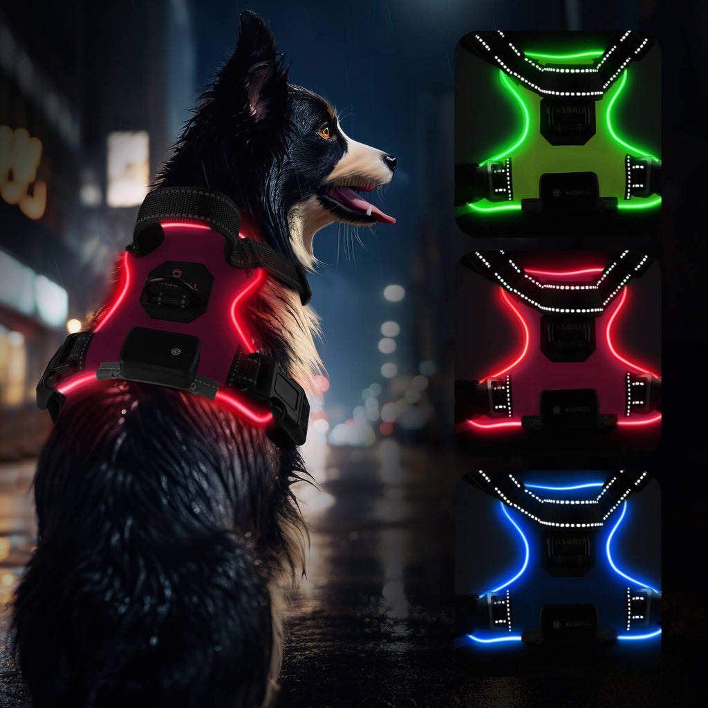 MASBRILL Light Up Dog Harness