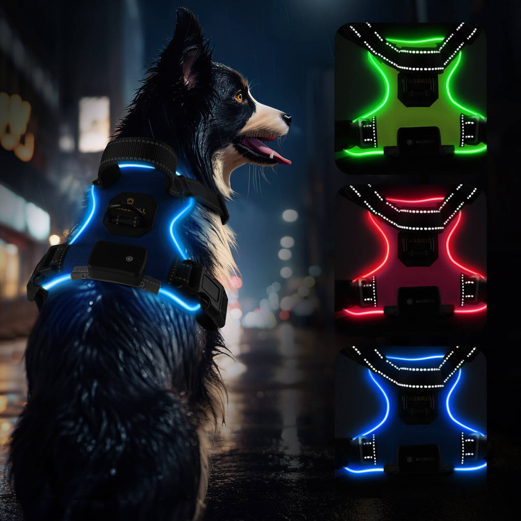 MASBRILL Light Up Dog Harness