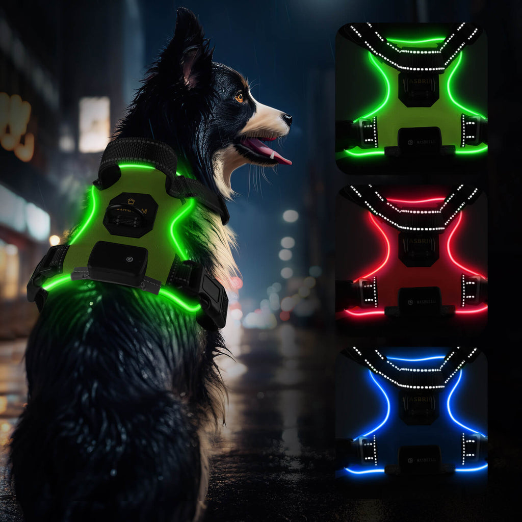 MASBRILL Light Up Dog Harness