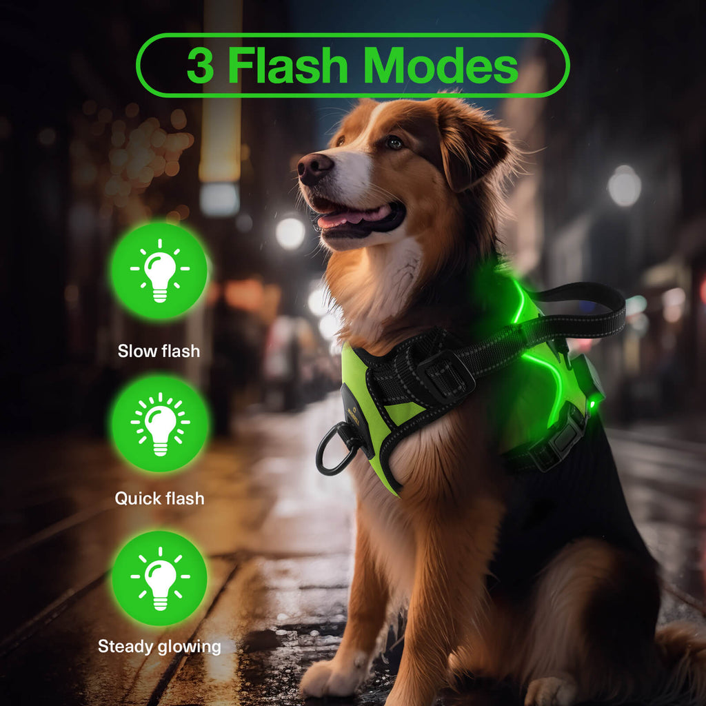 MASBRILL Light Up Dog Harness