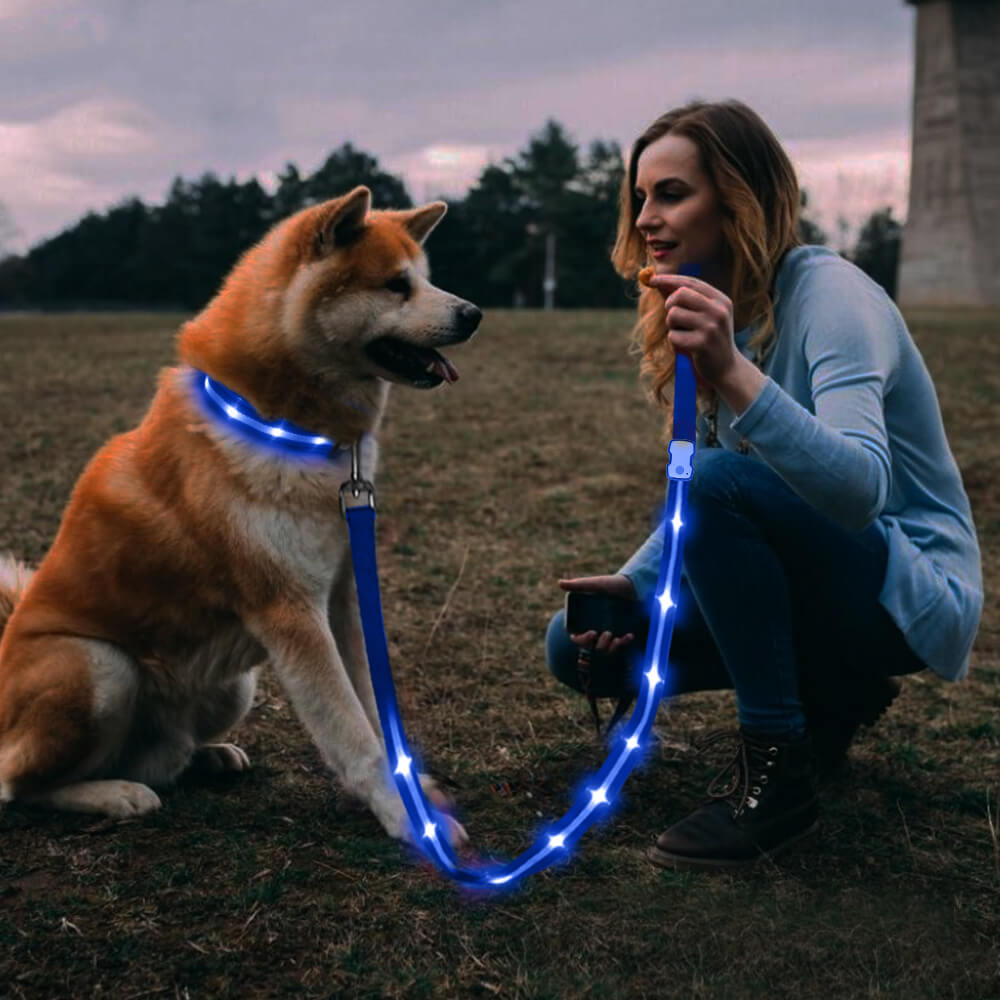 MASBRILL LED Dog Leash USB Rechargeable Pet Leash