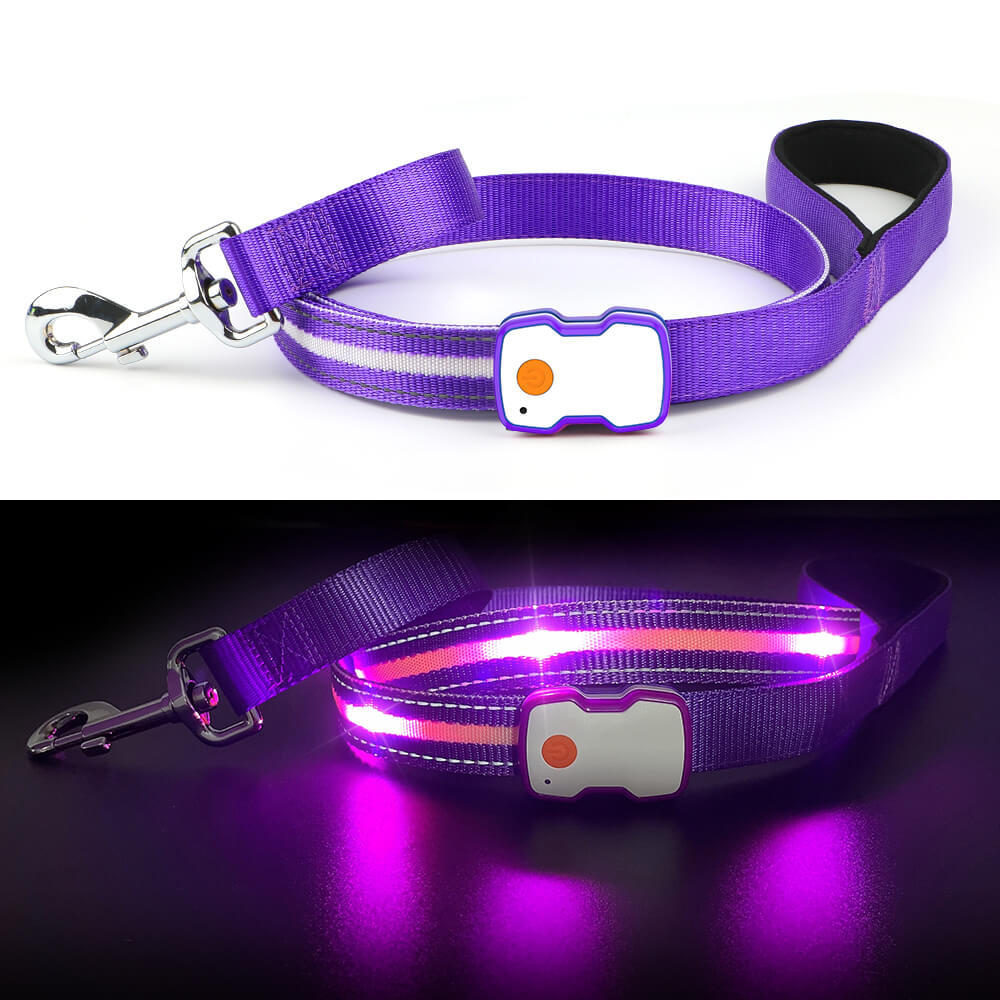 MASBRILL LED Dog Leash USB Rechargeable Pet Leash