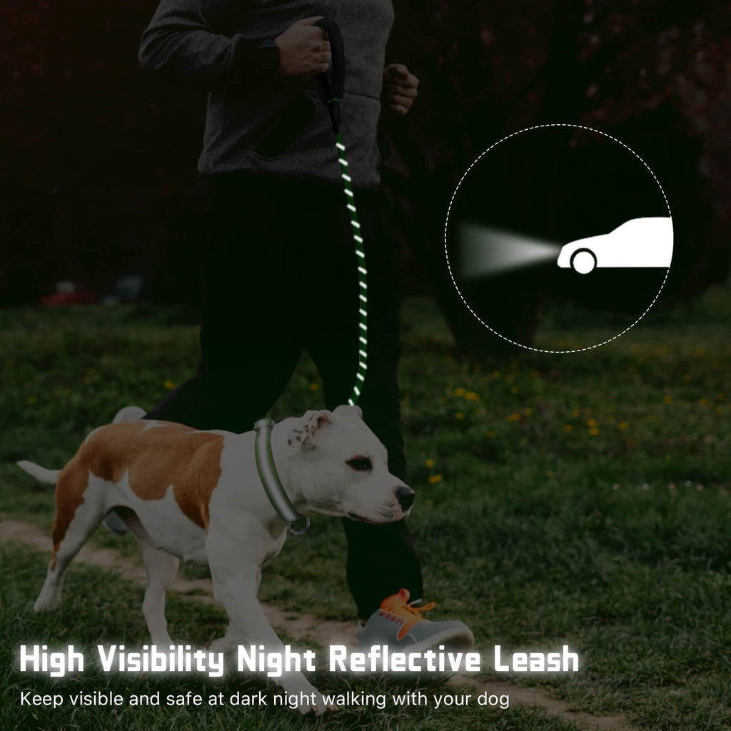 MASBRILL Padded Handle Nylon Dog Leash