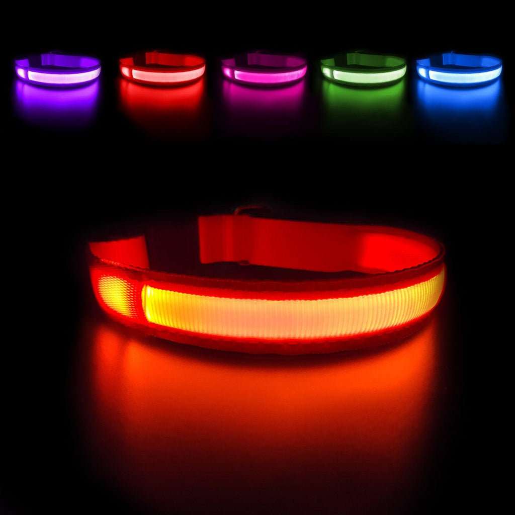 MASBRILL Personalized LED Light-Up Dog Collar - MASBRILL