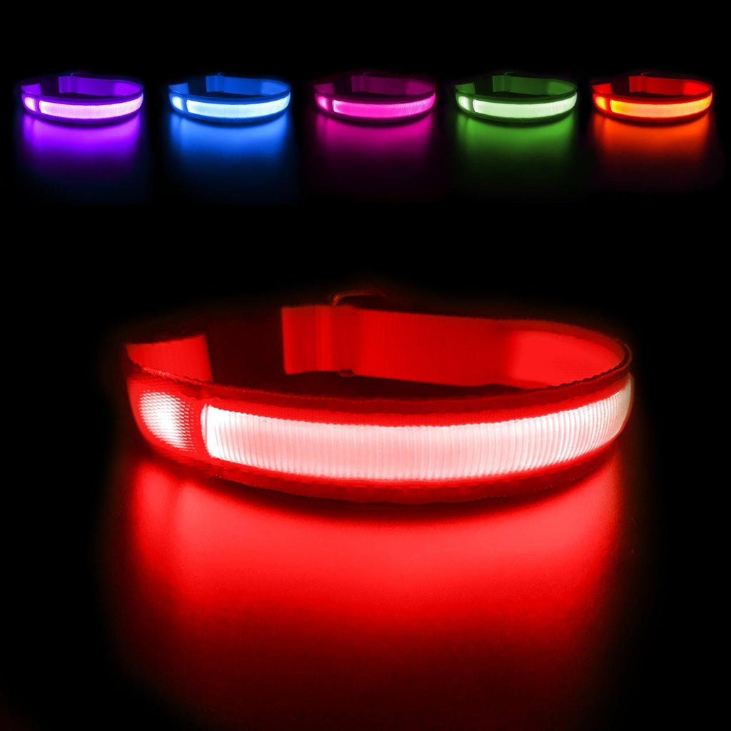 MASBRILL Personalized LED Light-Up Dog Collar - MASBRILL