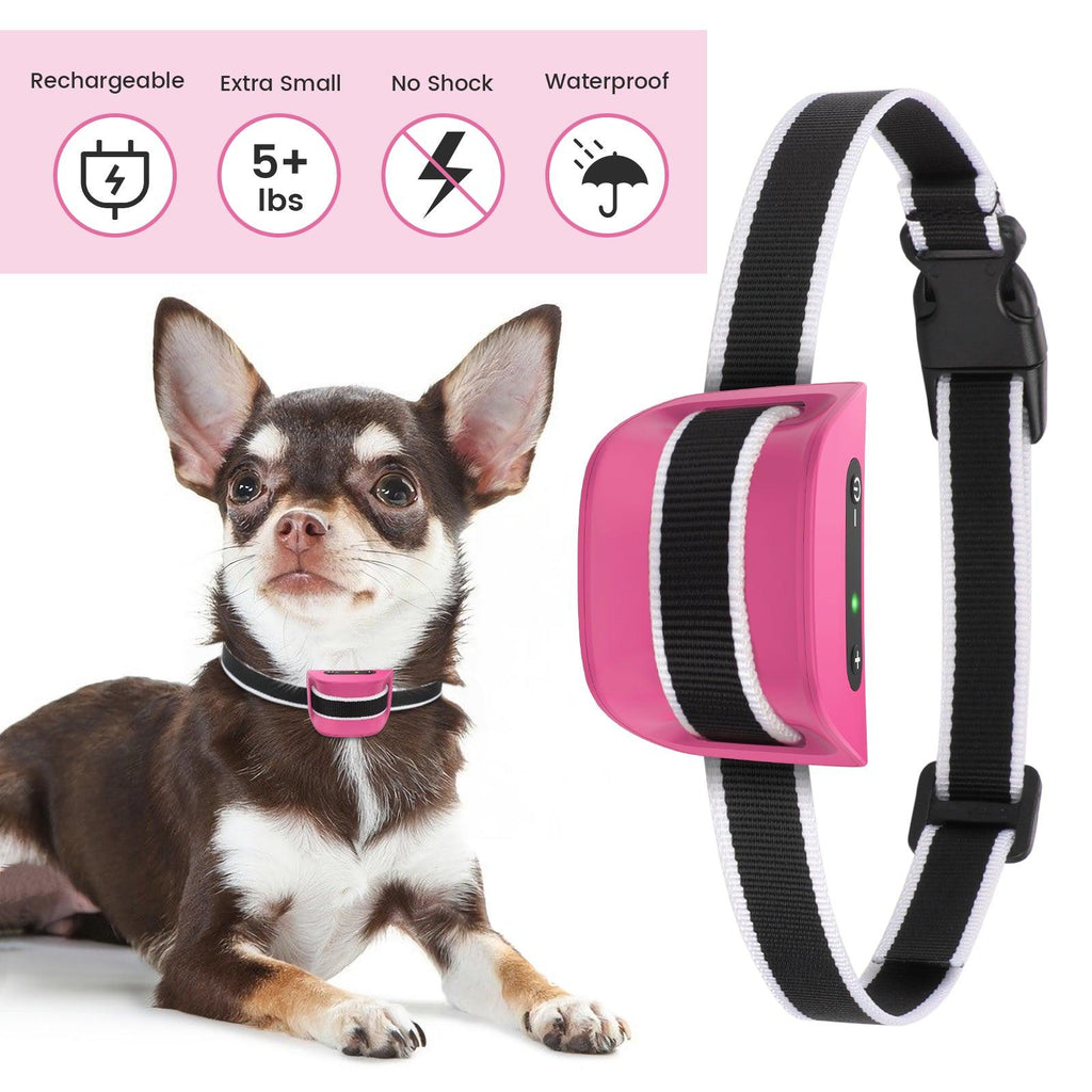 MASBRILL Multifunctional Small Dog Bark Collar-DC651 - MASBRILL