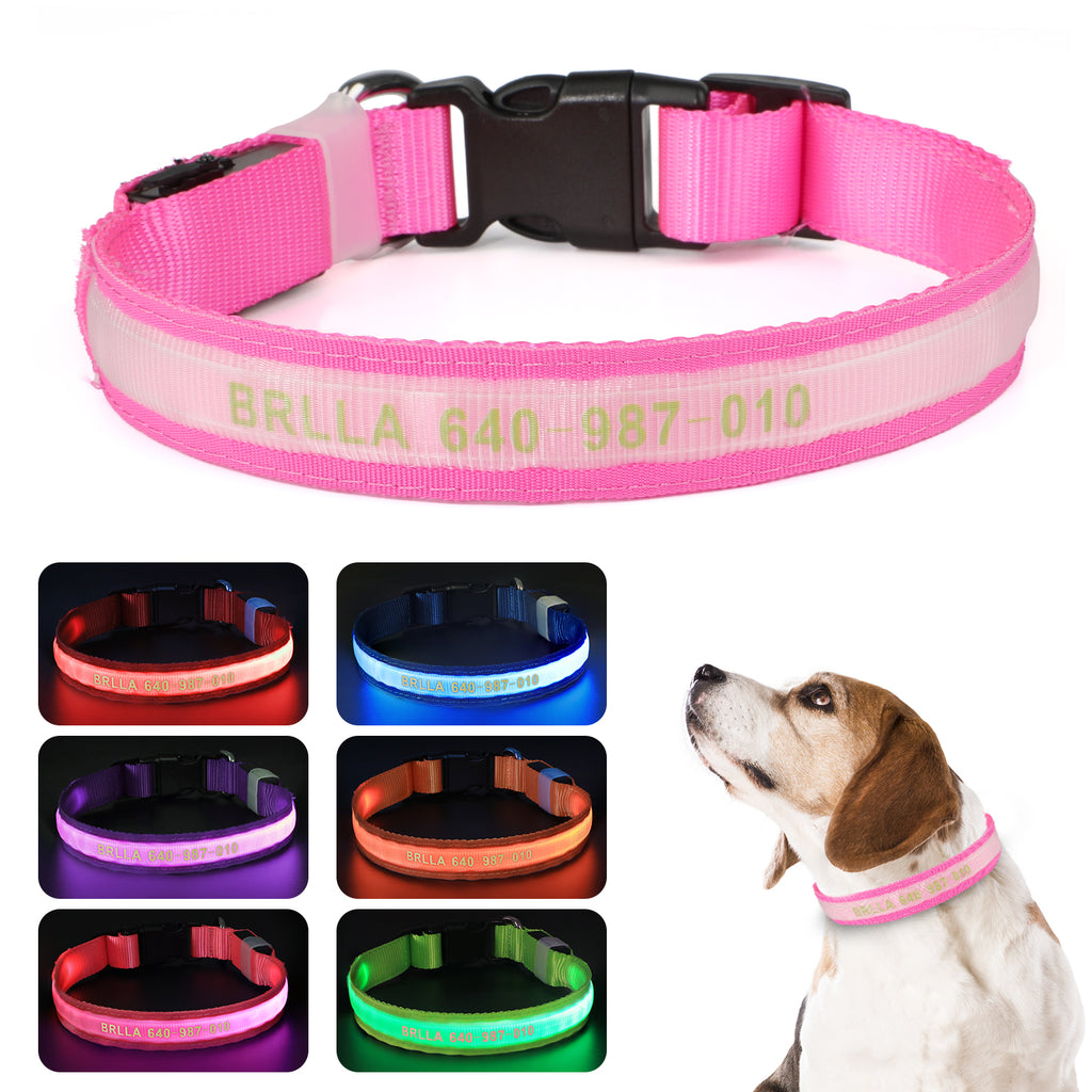 MASBRILL Personalized LED Light-Up Dog Collar