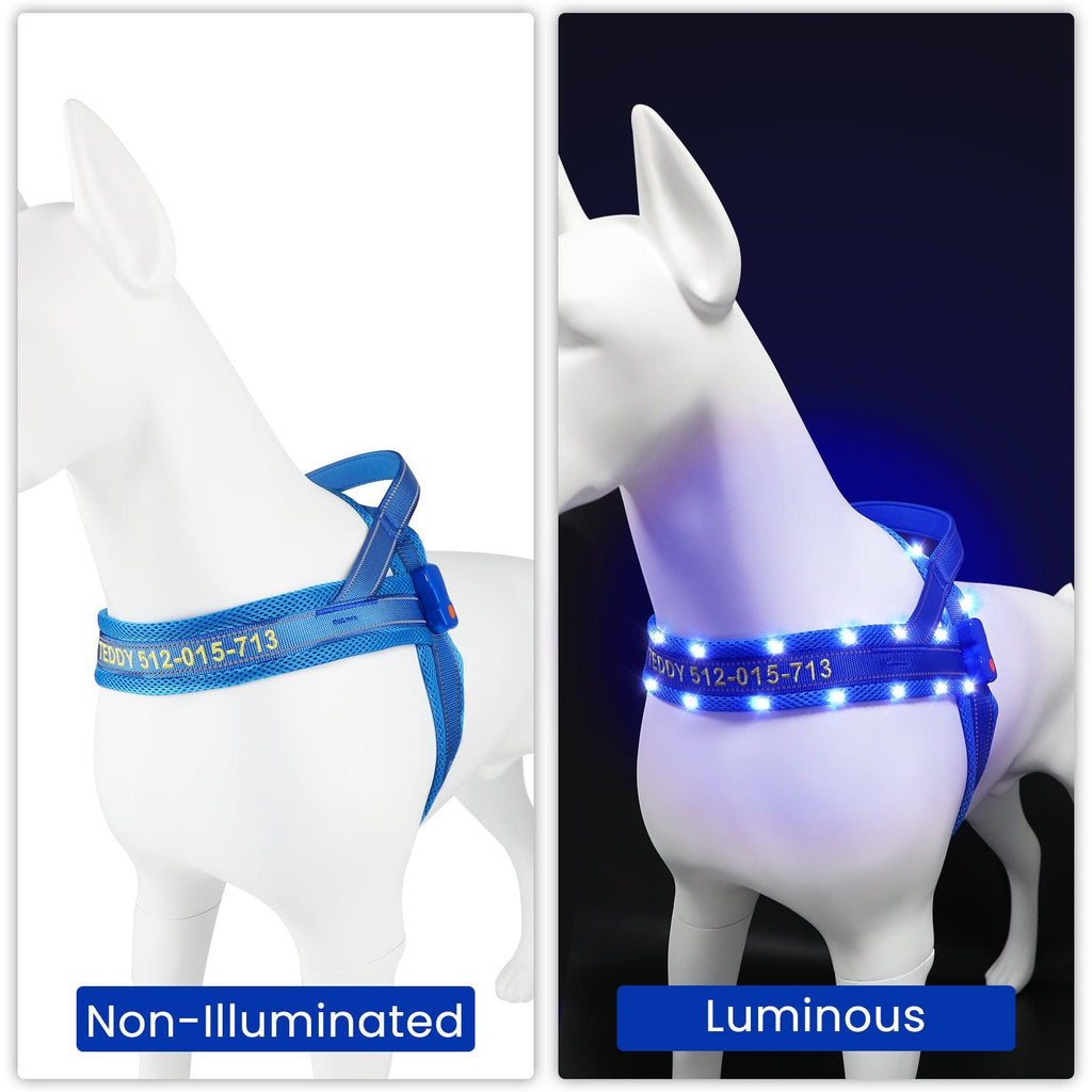 MASBRILL Custom Embroidered LED Lighted No Pull Dog Harnesses - MASBRILL