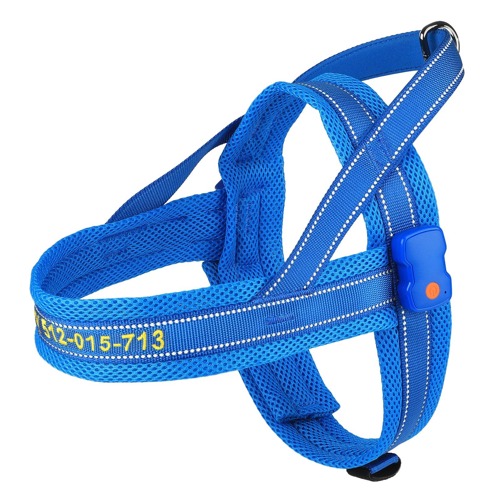 The 16 Best Dog Harnesses for All Types of Outdoor Romps