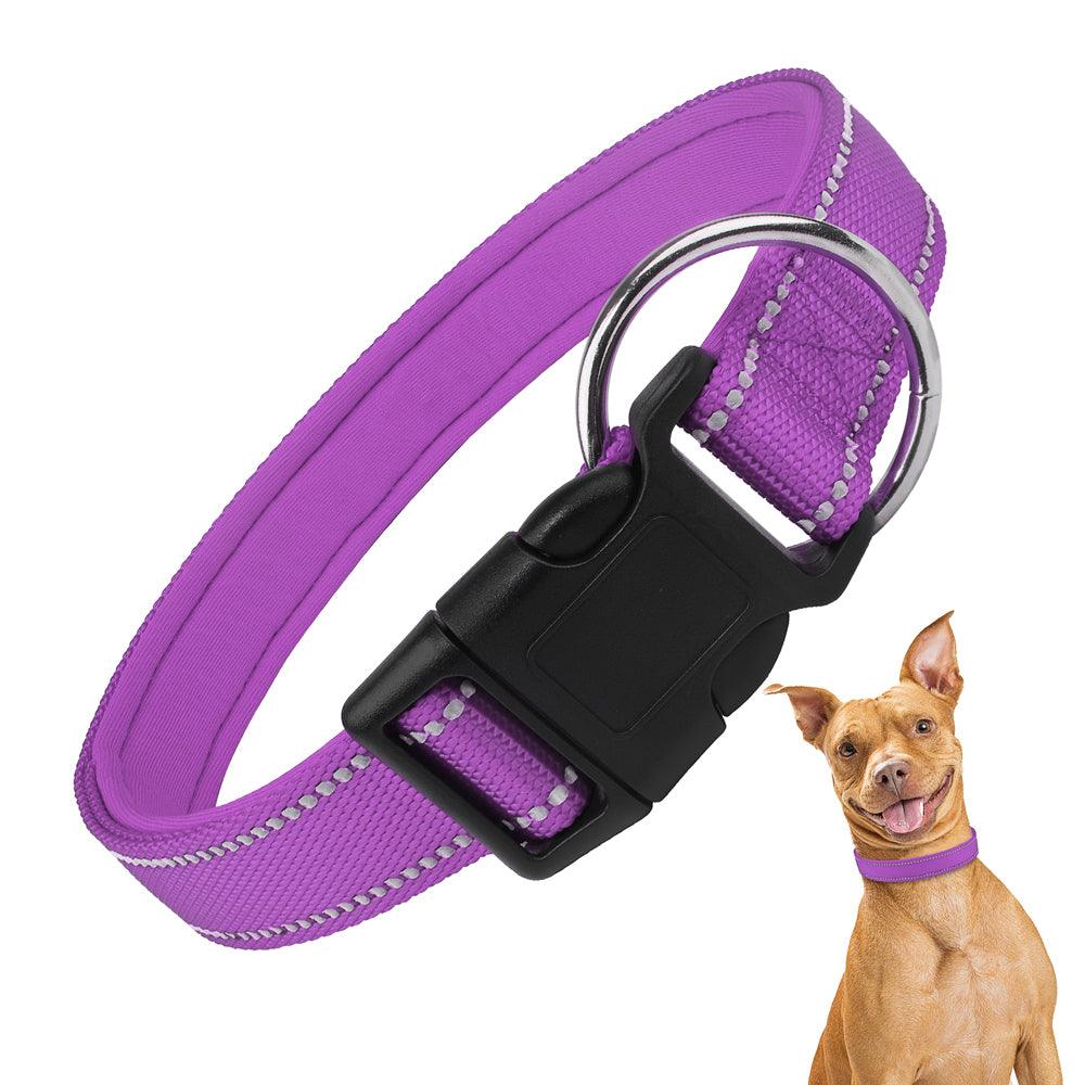 MASBRILL Custom Embroidered Reflective Dog Collar - MASBRILL