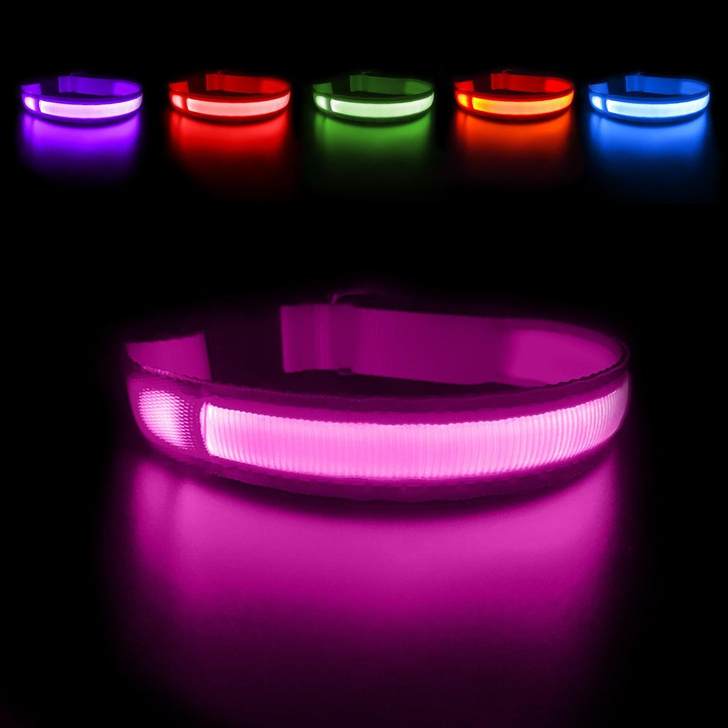 MASBRILL Personalized LED Light-Up Dog Collar - MASBRILL