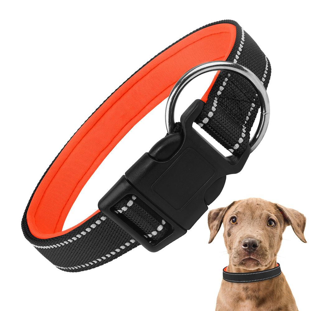 MASBRILL Custom Embroidered Reflective Dog Collar - MASBRILL