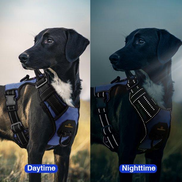 MASBRILL Custom Embroidered Reflective Dog Harness - MASBRILL